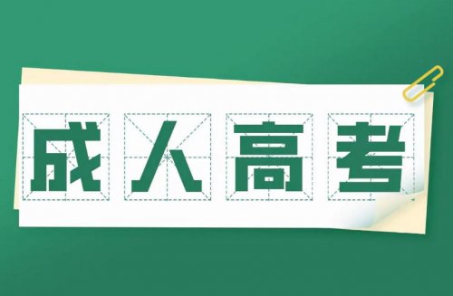 2026年山东省成人高考完整报考流程